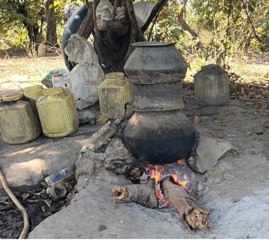 चुनाव में शराब खपाने की थी तैयारी ,एनटीपीसी के कर्मचारी व मजदुर बनकर जंगल में पहुंची पुलिस की टीम,4.72 लाख की महुआ शराब जप्त,,